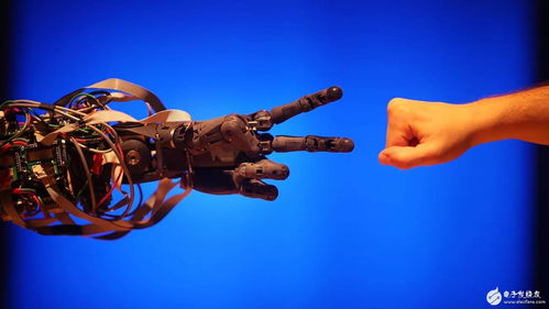 硅谷AI創(chuàng)新 在資本主義框架下的人工智能應(yīng)用軟件開發(fā)